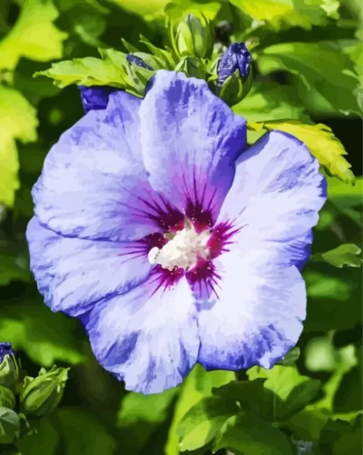 Blue Perennial Hibiscus Diamond Painting