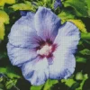 Blue Perennial Hibiscus Diamond Painting