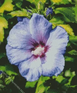 Blue Perennial Hibiscus Diamond Painting