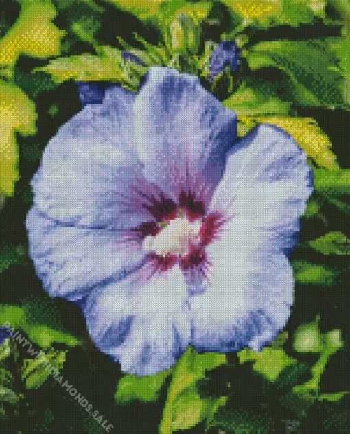 Blue Perennial Hibiscus Diamond Painting