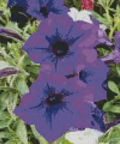 Blue Petunia Diamond Painting