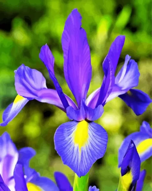 Blue And Yellow Dutch Iris Diamond Painting