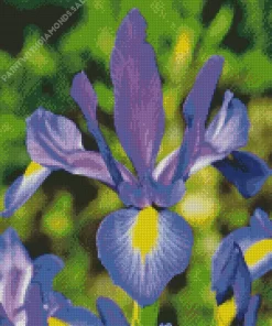 Blue And Yellow Dutch Iris Diamond Painting