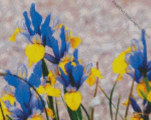 Blue And Yellow Iris Diamond Painting