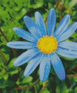 Blue Daisy Close Up Diamond Painting