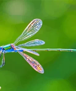 Blue Dragonfly Diamond Painting