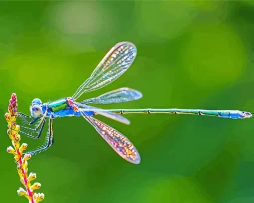 Blue Dragonfly Diamond Painting