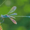 Blue Dragonfly Diamond Painting