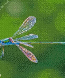 Blue Dragonfly Diamond Painting