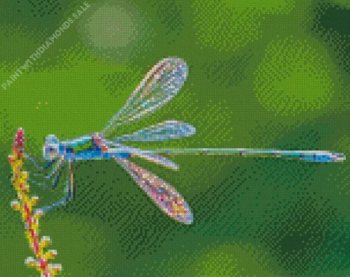 Blue Dragonfly Diamond Painting