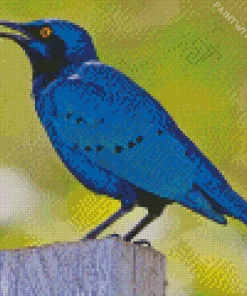 Blue Eared Bird Diamond Painting