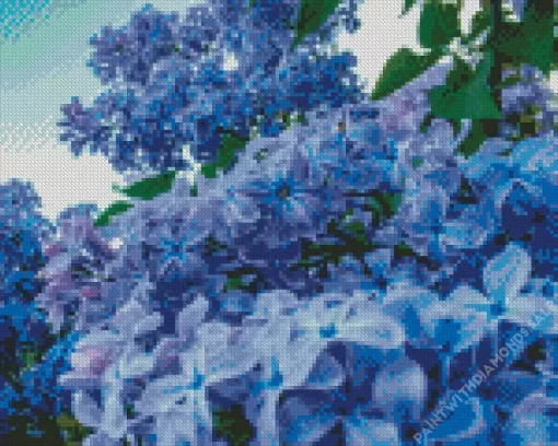 Blue Lilacs Diamond Painting