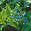 Blue Lily of The Valley Diamond Painting