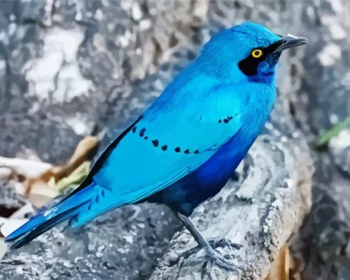 Blue Starling Close Up Diamond Painting