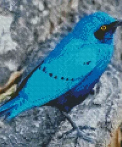 Blue Starling Close Up Diamond Painting