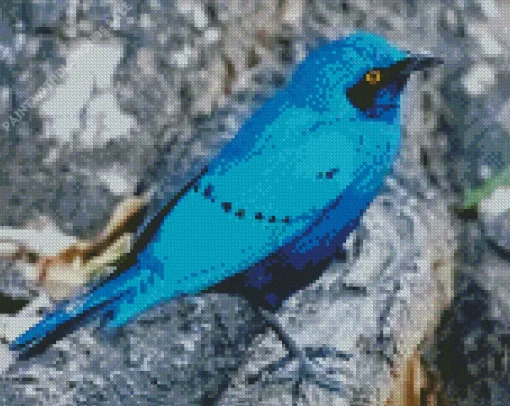 Blue Starling Close Up Diamond Painting