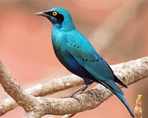 Blue Starling On Branch Diamond Painting