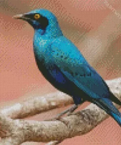 Blue Starling On Branch Diamond Painting