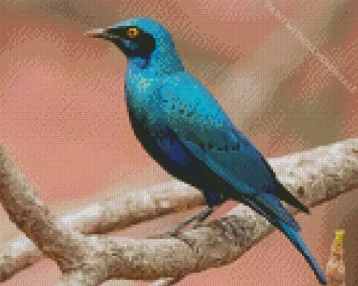 Blue Starling On Branch Diamond Painting