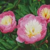 Bowl Of Beauty Peonies Diamond Painting