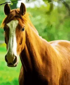 Brown Horse Diamond Painting