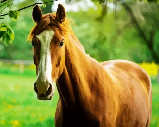 Brown Horse Diamond Painting