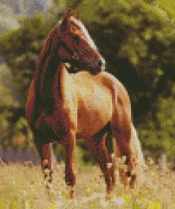 Brown Horse Animal Diamond Painting