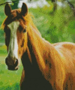 Brown Horse Diamond Painting