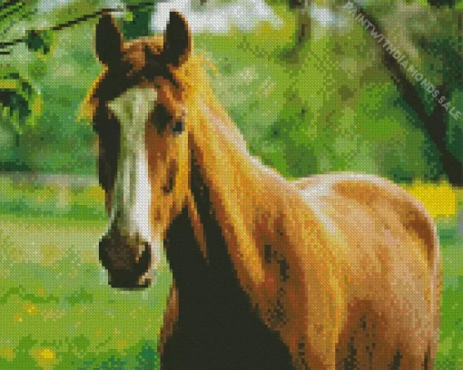 Brown Horse Diamond Painting