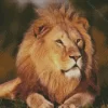 Brown Lion Diamond Painting