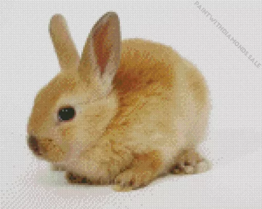 Bunny Diamond Painting