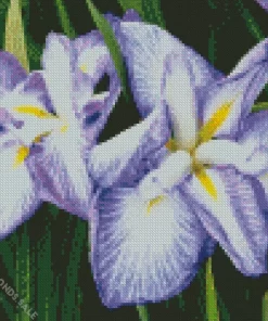 Cascade Spice Iris Diamond Painting