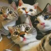 Cats Selfie Diamond Painting