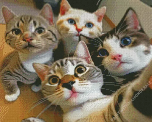 Cats Selfie Diamond Painting