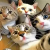 Cats Selfie Diamond Painting