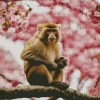 Cherry Blossoms And Monkey Diamond Painting