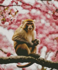 Cherry Blossoms And Monkey Diamond Painting