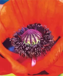 Close Up Oriental Poppy Diamond Painting