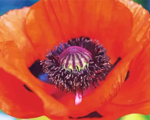 Close Up Oriental Poppy Diamond Painting