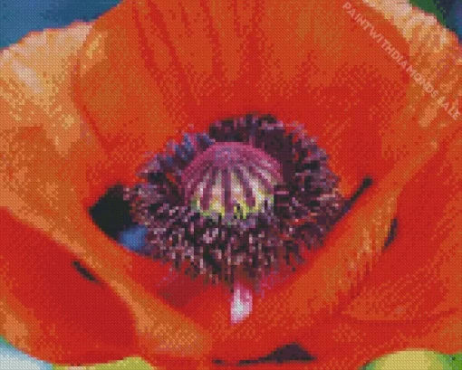 Close Up Oriental Poppy Diamond Painting