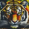 Close Up Tiger Diamond Painting