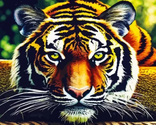 Close Up Tiger Diamond Painting