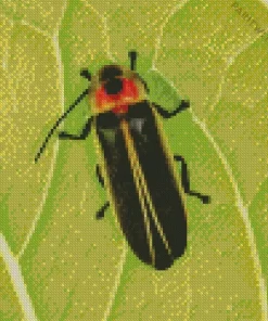 Close Up Firefly Diamond Painting