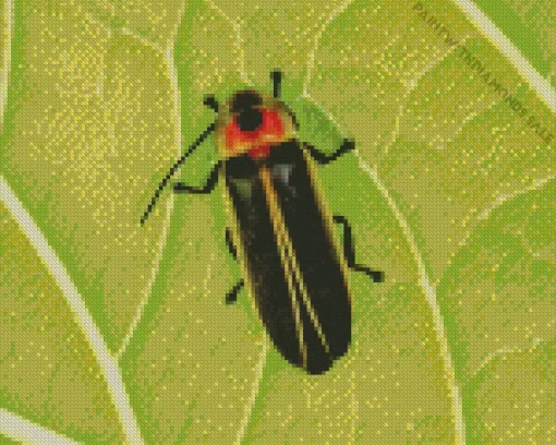 Close Up Firefly Diamond Painting