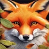 Close Up Fox Animal Diamond Painting