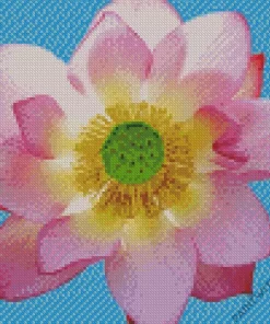 Close Up Of Sacred Lotus Diamond Painting