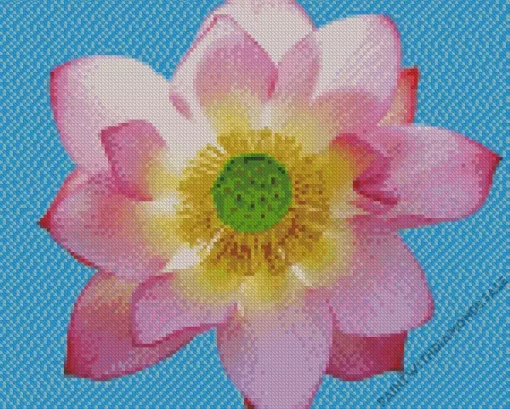 Close Up Of Sacred Lotus Diamond Painting