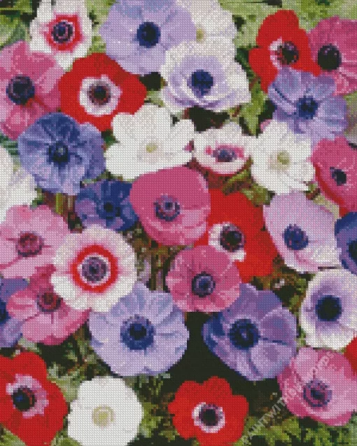 Colorful Anemone Diamond Painting