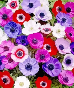 Colorful Anemone Diamond Painting