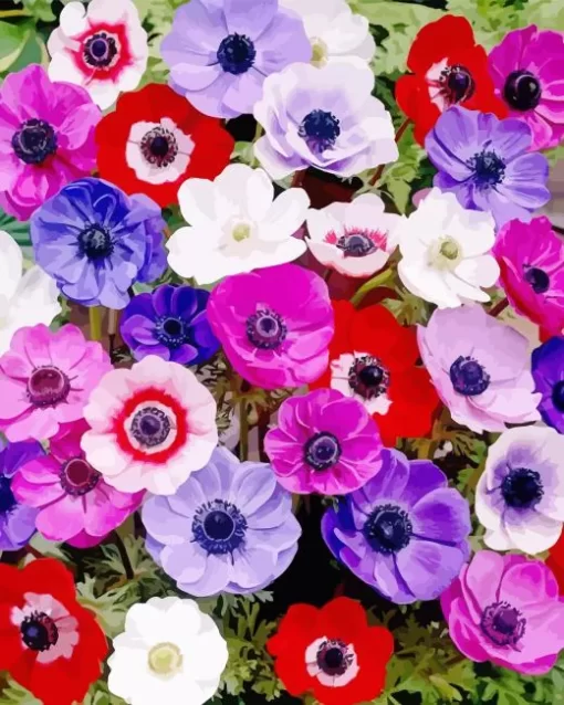 Colorful Anemone Diamond Painting